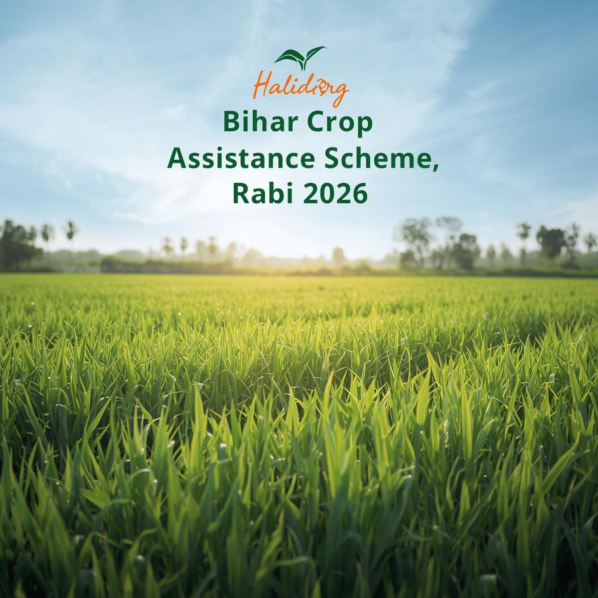 Bihar Fasal Sahayata Yojana Rabi 2026